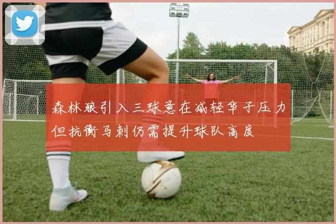 森林狼引入三球意在减轻华子压力但抗衡马刺仍需提升球队高度