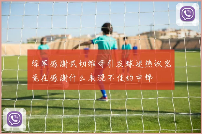 绿军感谢武切维奇引发球迷热议究竟在感谢什么表现不佳的中锋